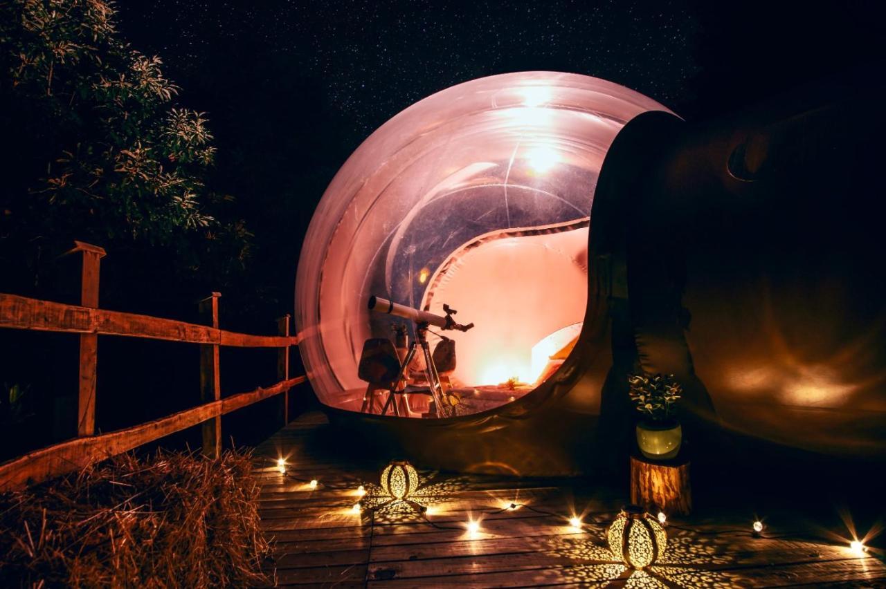 Maso La Marianna Bubble Glamping In Trentino Bed and Breakfast Sant'Orsola Buitenkant foto